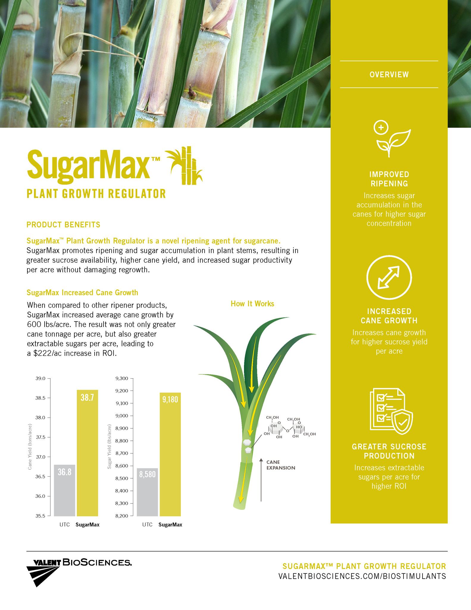 Picture of SugarMax Sugarcane Quicksheet