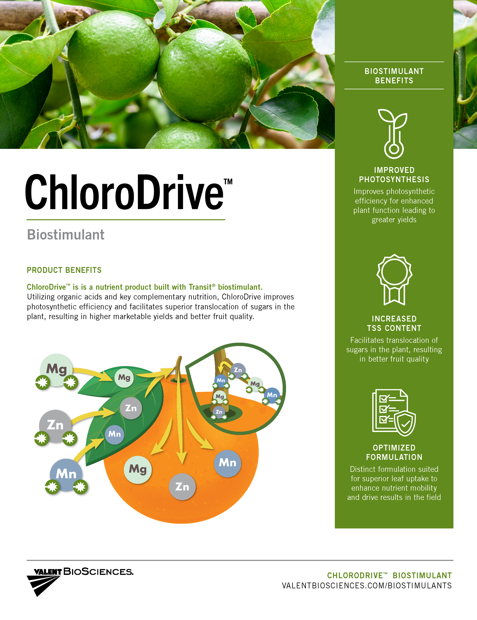 Picture of ChloroDrive Citrus Quicksheet