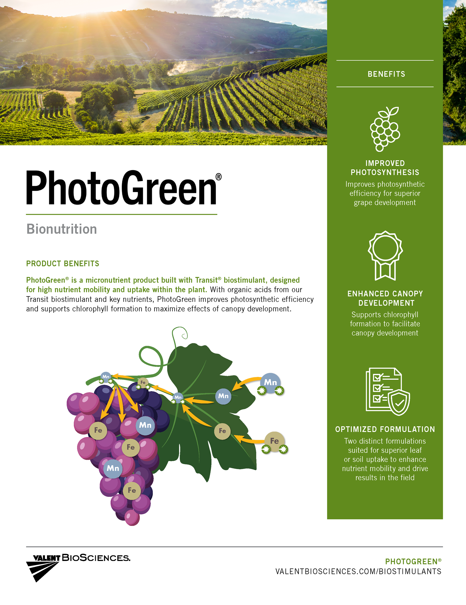 Picture of PhotoGreen Wine Grape Quicksheet