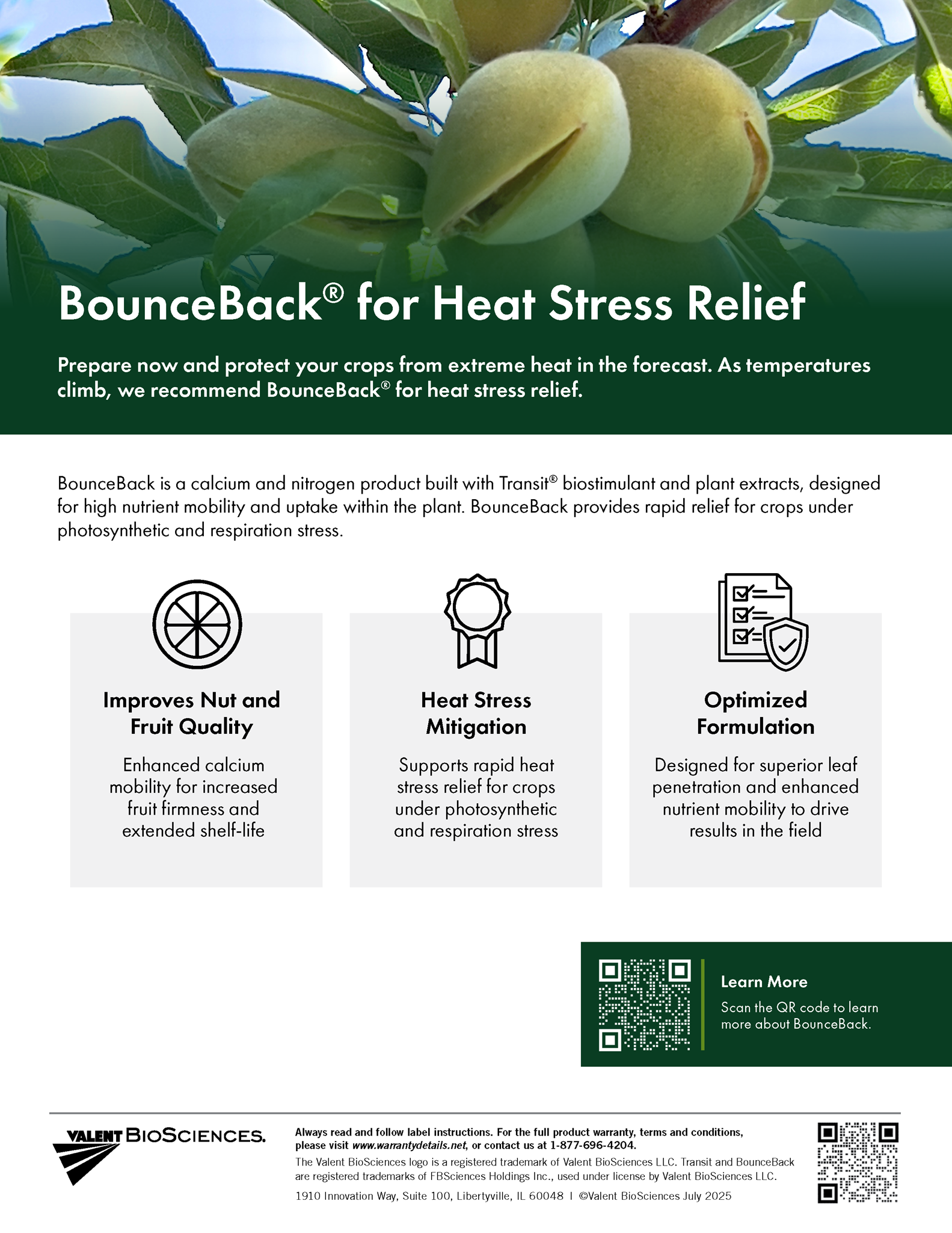 Picture of BounceBack Heat Stress Quicksheet